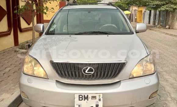 Buy Used Lexus RX 330 Silver Car in Cotonou in Benign