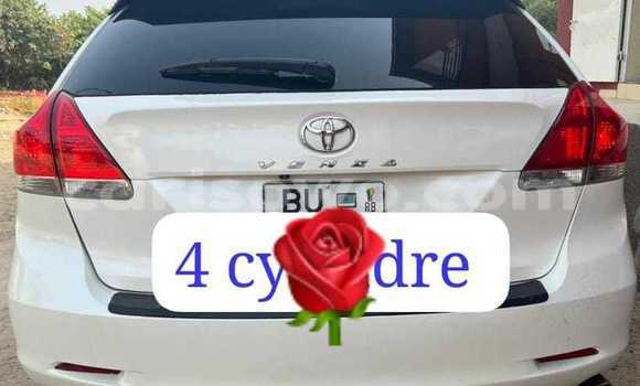 Acheter Occasion Voiture Toyota Venza Blanc à Cotonou, Benin