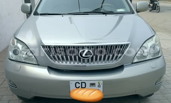 Acheter Occasion Voiture Lexus RX 330 Gris à Cotonou, Benin