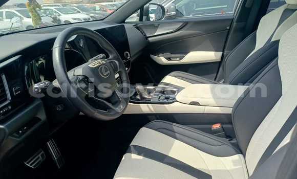 Sayi Sabo Lexus NX Blue Mota in Cotonou a Benin Sayi Sabo Lexus NX Blue Mota in Cotonou a Benin