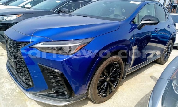 Sayi Sabo Lexus NX Blue Mota in Cotonou a Benin Sayi Sabo Lexus NX Blue Mota in Cotonou a Benin