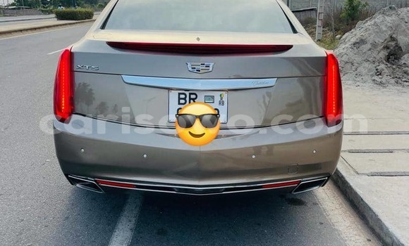 Sayi Na hannu Cadillac XTS Brown Mota in Cotonou a Benin Sayi Na hannu Cadillac XTS Brown Mota in Cotonou a Benin