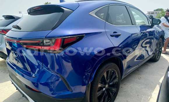 Sayi Sabo Lexus NX Blue Mota in Cotonou a Benin Sayi Sabo Lexus NX Blue Mota in Cotonou a Benin
