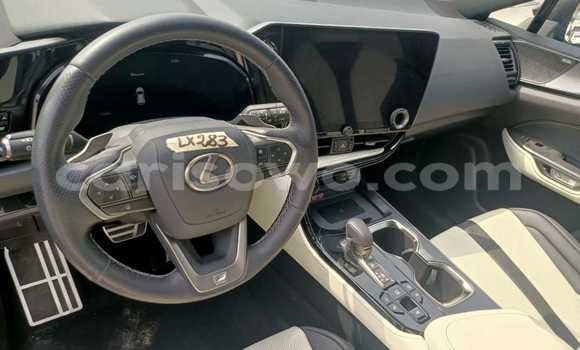 Sayi Sabo Lexus NX Blue Mota in Cotonou a Benin Sayi Sabo Lexus NX Blue Mota in Cotonou a Benin