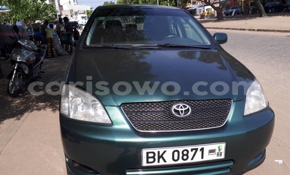 Ra Àlòkù Toyota Corolla Alawọ ewe Ọkọ̀ in Cotonou ni Benin Ra Àlòkù Toyota Corolla Alawọ ewe Ọkọ̀ in Cotonou ni Benin