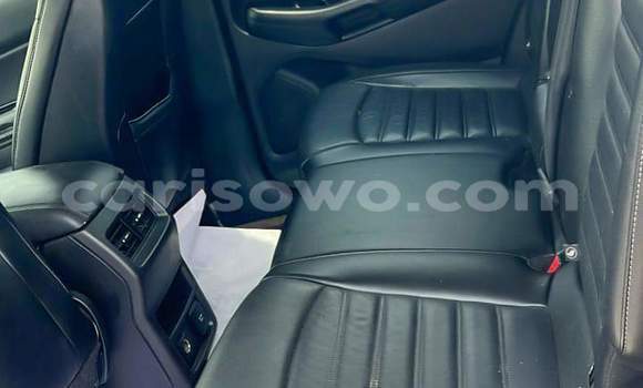 Ra Àlòkù Ford Edge funfun Ọkọ̀ in Cotonou ni Benin Ra Àlòkù Ford Edge funfun Ọkọ̀ in Cotonou ni Benin