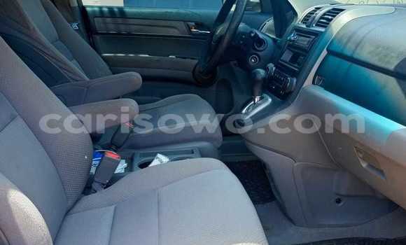 Buy Used Honda CR–V Black Car in Cotonou in Benign Buy Used Honda CR–V Black Car in Cotonou in Benign