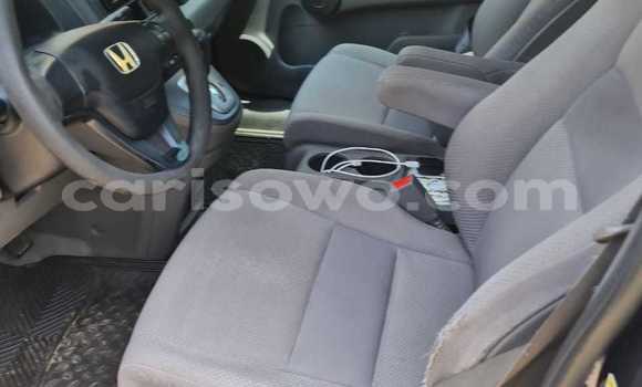 Ra Àlòkù Honda CR–V Blue Ọkọ̀ in Cotonou ni Benin Ra Àlòkù Honda CR–V Blue Ọkọ̀ in Cotonou ni Benin