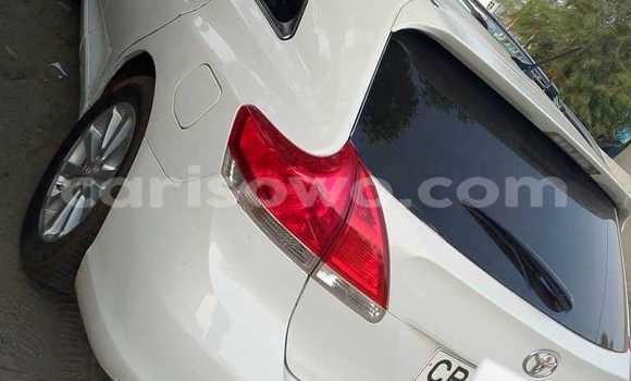 Acheter Occasion Voiture Toyota Venza Blanc à Cotonou, Benin