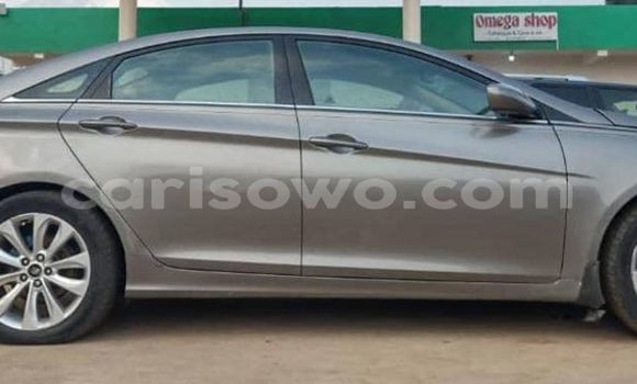 Acheter Occasion Voiture Hyundai Sonata Gris à Cotonou, Benin Acheter Occasion Voiture Hyundai Sonata Gris à Cotonou, Benin