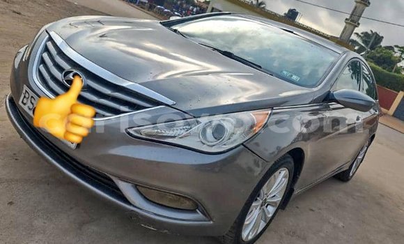 Acheter Occasion Voiture Hyundai Sonata Gris à Cotonou, Benin Acheter Occasion Voiture Hyundai Sonata Gris à Cotonou, Benin