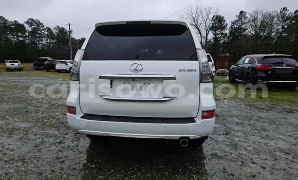 Acheter Import Voiture Lexus GX Blanc à Cotonou, Benin Acheter Import Voiture Lexus GX Blanc à Cotonou, Benin