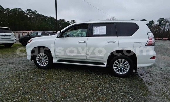Acheter Import Voiture Lexus GX Blanc à Cotonou, Benin Acheter Import Voiture Lexus GX Blanc à Cotonou, Benin