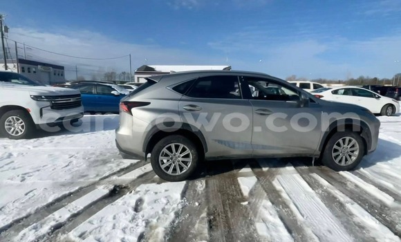 Acheter Import Voiture Lexus NX Autre à Cotonou, Benin