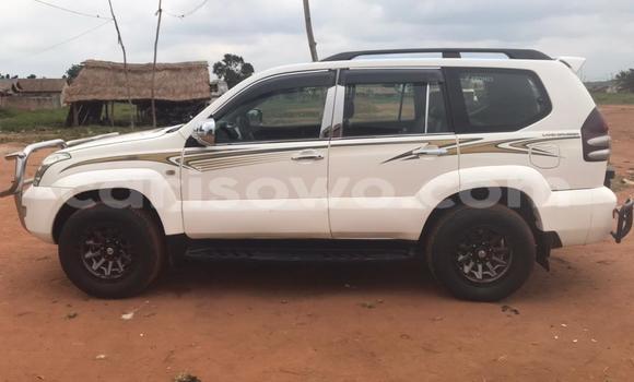 Buy Used Toyota Prado White Car in Cotonou in Benign Buy Used Toyota Prado White Car in Cotonou in Benign