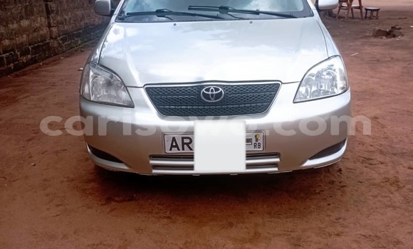 Acheter Occasion Voiture Toyota Corolla Gris à Cotonou, Benin