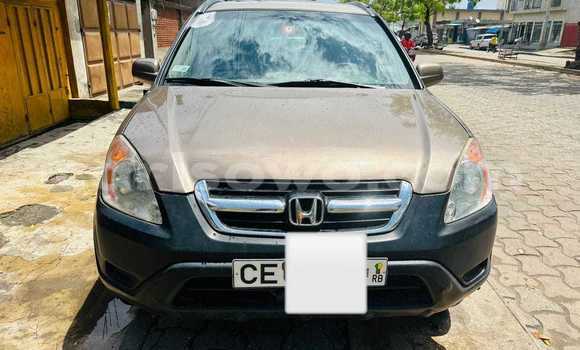 Buy Used Honda CR–V Beige Car in Cotonou in Benign