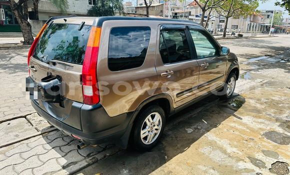 Buy Used Honda CR–V Beige Car in Cotonou in Benign Buy Used Honda CR–V Beige Car in Cotonou in Benign