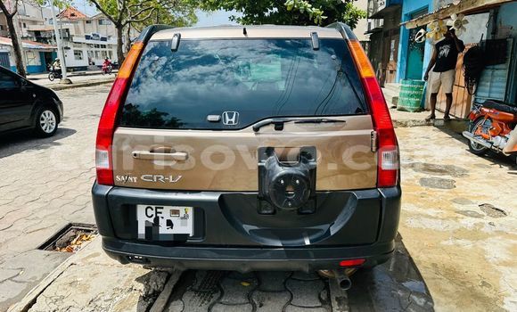 Buy Used Honda CR–V Beige Car in Cotonou in Benign Buy Used Honda CR–V Beige Car in Cotonou in Benign