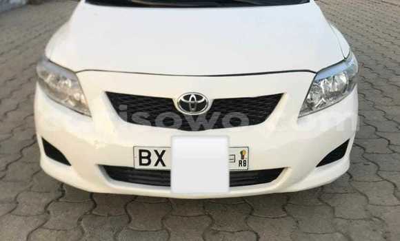 Acheter Occasion Voiture Toyota Corolla Blanc à Cotonou, Benin