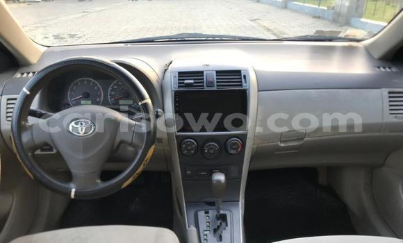 Ra Àlòkù Toyota Corolla funfun Ọkọ̀ in Cotonou ni Benin Ra Àlòkù Toyota Corolla funfun Ọkọ̀ in Cotonou ni Benin