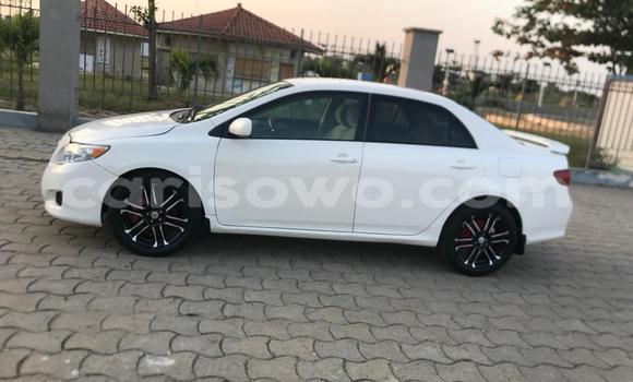 Ra Àlòkù Toyota Corolla funfun Ọkọ̀ in Cotonou ni Benin Ra Àlòkù Toyota Corolla funfun Ọkọ̀ in Cotonou ni Benin