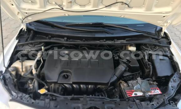 Ra Àlòkù Toyota Corolla funfun Ọkọ̀ in Cotonou ni Benin Ra Àlòkù Toyota Corolla funfun Ọkọ̀ in Cotonou ni Benin