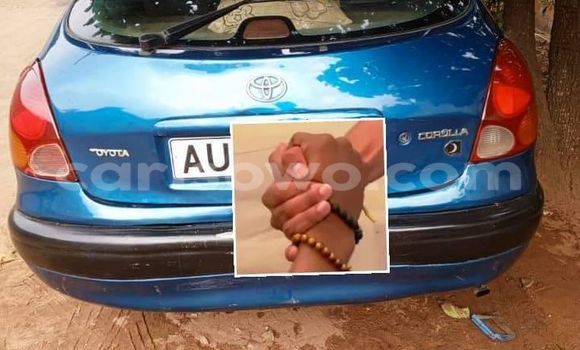 Acheter Occasion Voiture Toyota Corolla Bleu à Cotonou, Benin Acheter Occasion Voiture Toyota Corolla Bleu à Cotonou, Benin