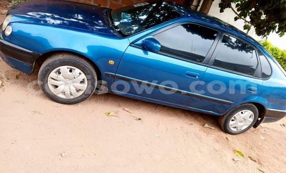 Acheter Occasion Voiture Toyota Corolla Bleu à Cotonou, Benin Acheter Occasion Voiture Toyota Corolla Bleu à Cotonou, Benin