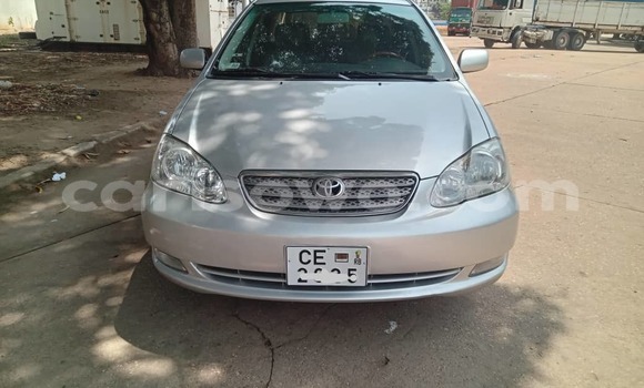 Ra Àlòkù Toyota Corolla funfun Ọkọ̀ in Cotonou ni Benin