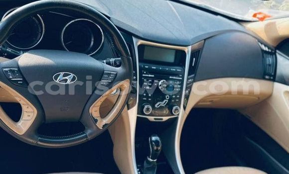 Sayi Na hannu Hyundai Sonata White Mota in Cotonou a Benin Sayi Na hannu Hyundai Sonata White Mota in Cotonou a Benin