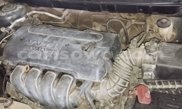 Sayi Na hannu Toyota Corolla Sauran Mota in Cotonou a Benin Sayi Na hannu Toyota Corolla Sauran Mota in Cotonou a Benin