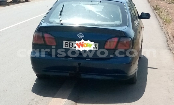 Acheter Occasion Voiture Nissan Primera Marron à Abomey, Benin Acheter Occasion Voiture Nissan Primera Marron à Abomey, Benin