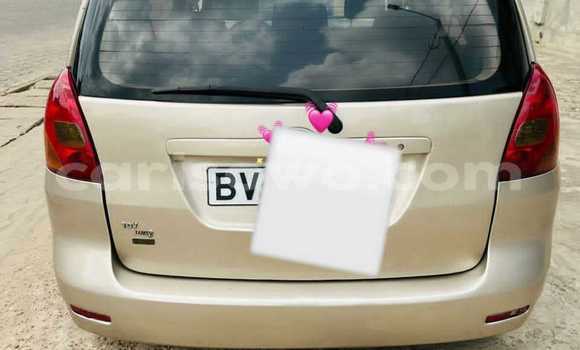 Acheter Occasion Voiture Toyota Corolla Verso Beige à Cotonou, Benin