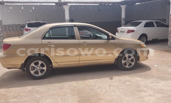 Acheter Occasion Voiture Toyota Corolla Marron à Cotonou, Benin Acheter Occasion Voiture Toyota Corolla Marron à Cotonou, Benin