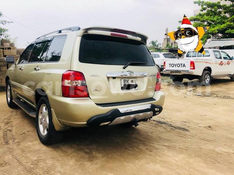 Big with watermark 52104976 858603847814735 2471133781923201024 n