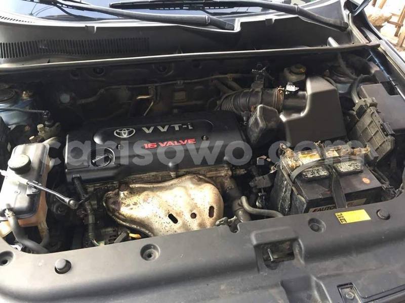 Big with watermark 51835838 858604081148045 7517780256632078336 n