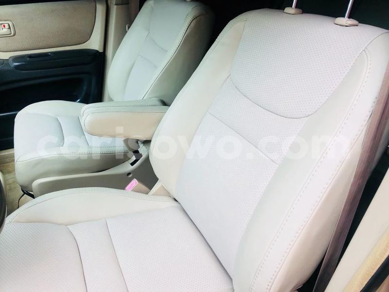 Big with watermark 51874669 858603934481393 6012103956904280064 n