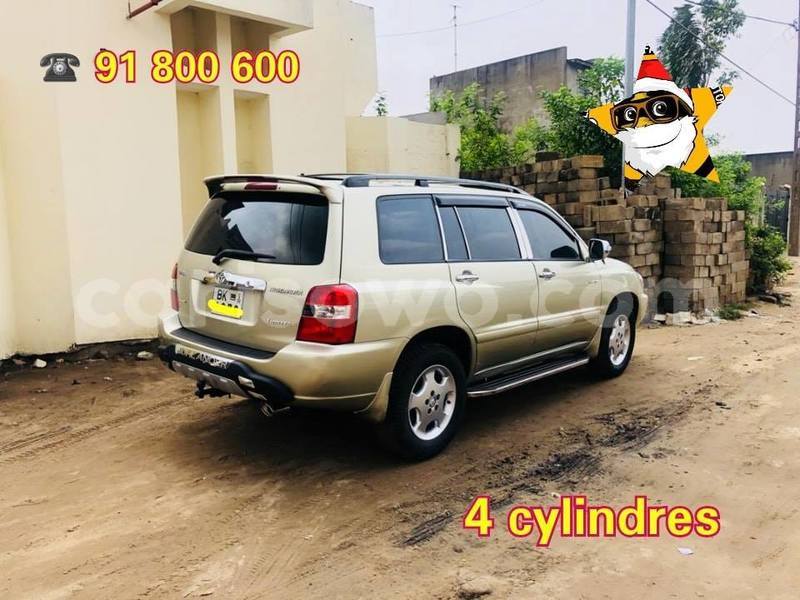 Big with watermark 51952965 858603784481408 2370916973543424000 n