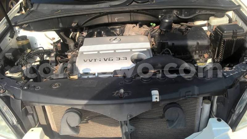 Big with watermark 52354617 857299424611844 915356723047301120 n