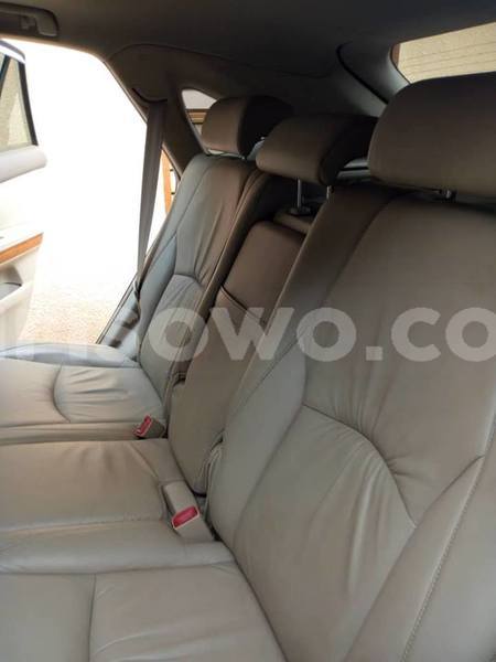 Big with watermark 52469068 857299387945181 3045312609512325120 n