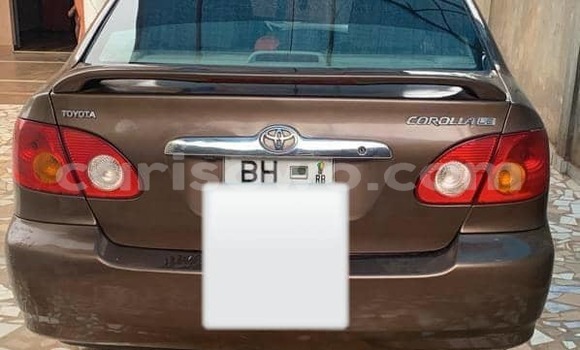 Ra Àlòkù Toyota Corolla Brown Ọkọ̀ in Cotonou ni Benin