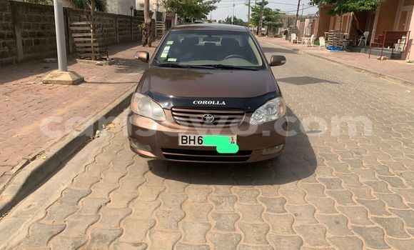 Acheter Occasion Voiture Toyota Corolla Marron à Cotonou, Benin Acheter Occasion Voiture Toyota Corolla Marron à Cotonou, Benin