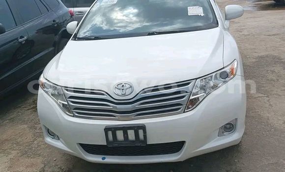Acheter Import Voiture Toyota Venza Beige à Cotonou, Benin