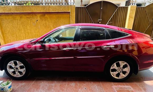 Sayi Na hannu Honda Crosstour Red Mota in Cotonou a Benin Sayi Na hannu Honda Crosstour Red Mota in Cotonou a Benin