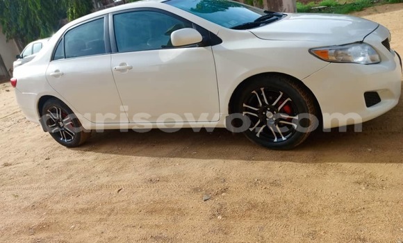 Acheter Occasion Voiture Toyota Corolla Blanc à Cotonou, Benin Acheter Occasion Voiture Toyota Corolla Blanc à Cotonou, Benin