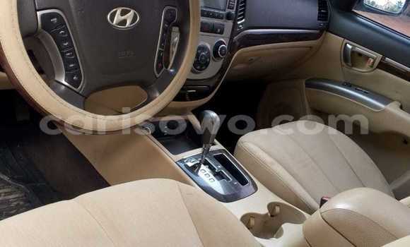 Sayi Na hannu Hyundai Santa Fe Brown Mota in Cotonou a Benin Sayi Na hannu Hyundai Santa Fe Brown Mota in Cotonou a Benin
