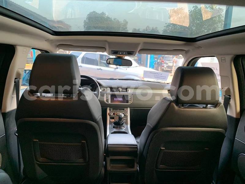 Big with watermark 51878983 853565061651947 902883253256454144 n