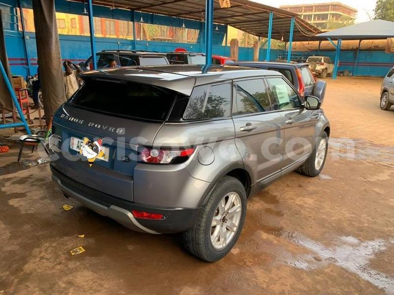 Big with watermark 51430995 853564958318624 9142156730728185856 n