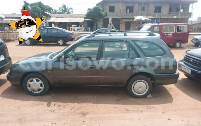 Big with watermark 51429204 853533774988409 9011284473014124544 n